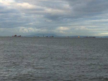 マイポイントで台風後調査