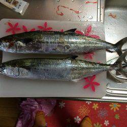 マイポイントで朝練