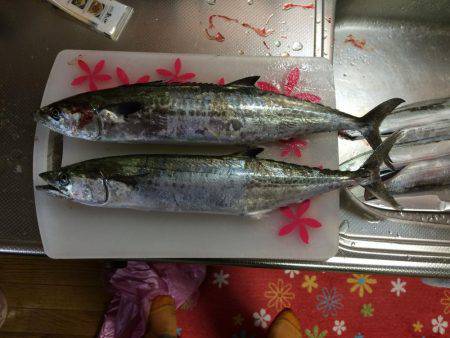 マイポイントで朝練