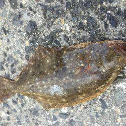 南港でまさかの