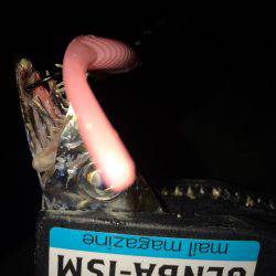 オンスのフラップ講習会にて！