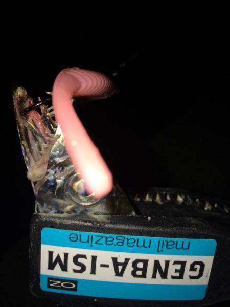 オンスのフラップ講習会にて！