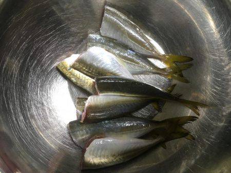 アジング〜ショアジギ