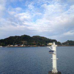 出勤前のカマス!