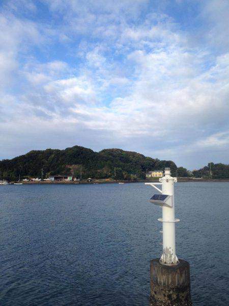 出勤前のカマス!