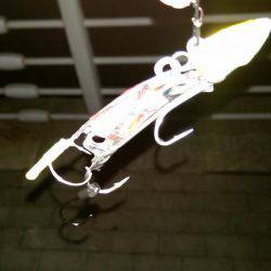 コスモスクエアで太刀魚