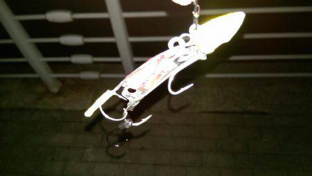 コスモスクエアで太刀魚