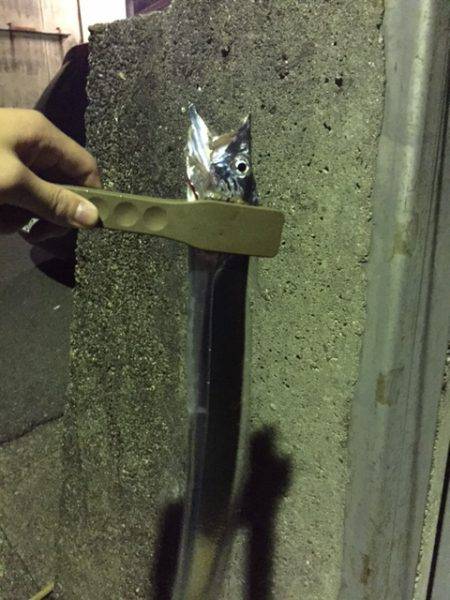 アジング時々ワインド