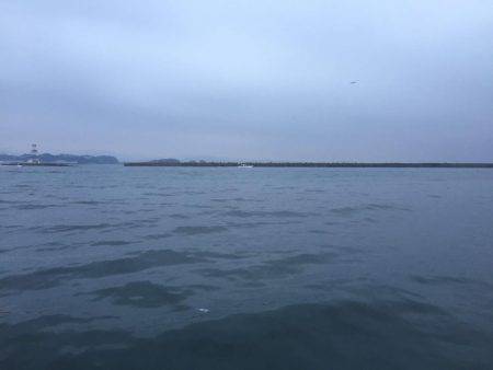 そうだ、海に行こう。太刀魚釣りの百獣の王到来