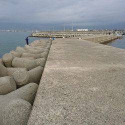 朝マヅメでサゴシ