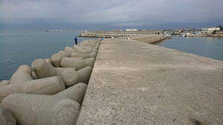 朝マヅメでサゴシ