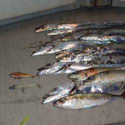 釣れた釣れたよ～