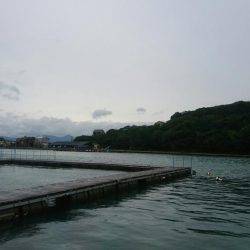 豪雨の海上釣り堀、大人の金魚すくい