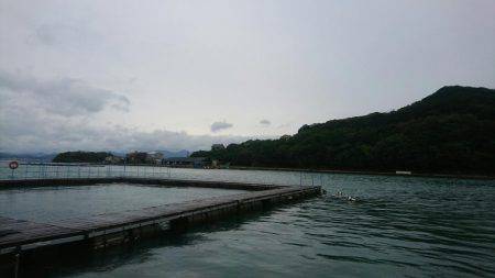 豪雨の海上釣り堀、大人の金魚すくい