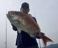 YELLOW-TAIL イエローテール 釣果