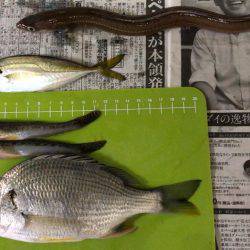 河口でちょい投げ