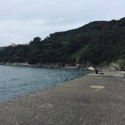 下津周辺を散策に！