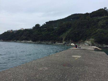 下津周辺を散策に！