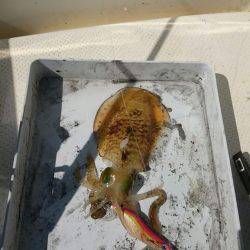 秋の長雨の合間に・・・