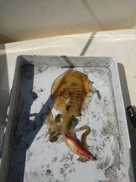 秋の長雨の合間に・・・