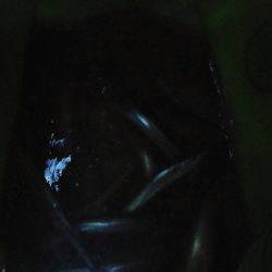 太刀魚、マイワシ、サヨリGET！！