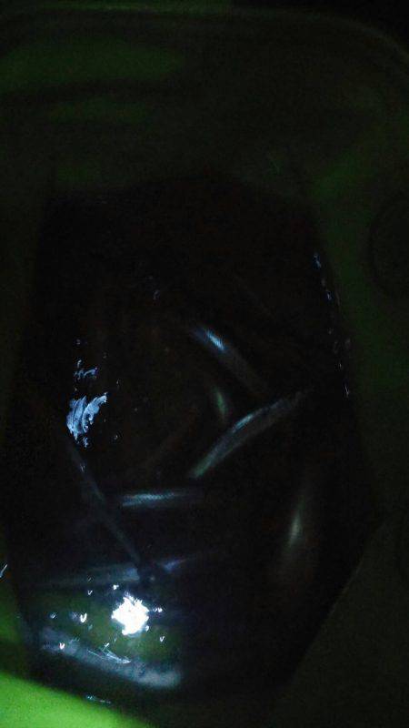 太刀魚、マイワシ、サヨリGET！！