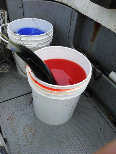 クーラー満タン