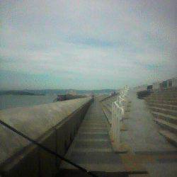 大アジ来てますよ～（＾＾）