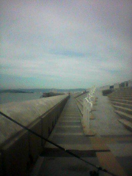 大アジ来てますよ～（＾＾）