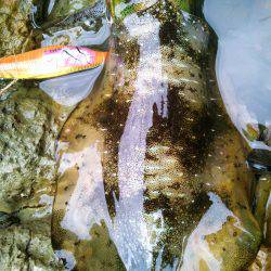 第２のホームでなんとか～♪