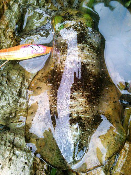 第２のホームでなんとか～♪