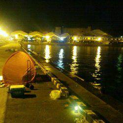 マリーナでタチウオ