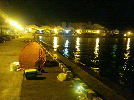 マリーナでタチウオ