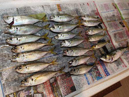 台風後、期待するが撃沈