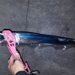 ワインドぶん投げた結果、、、