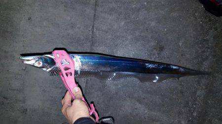 ワインドぶん投げた結果、、、