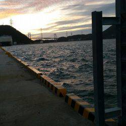 リリースサイズ