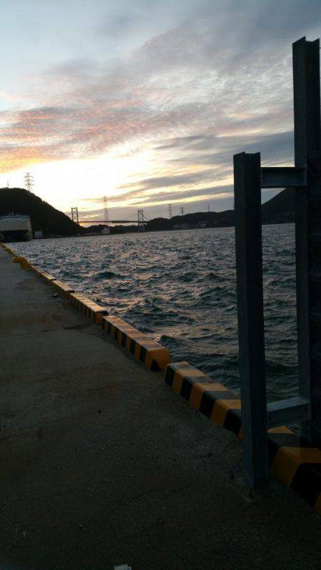 リリースサイズ