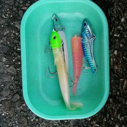 大蔵海岸朝マズメ。タチウオ堅調でした。