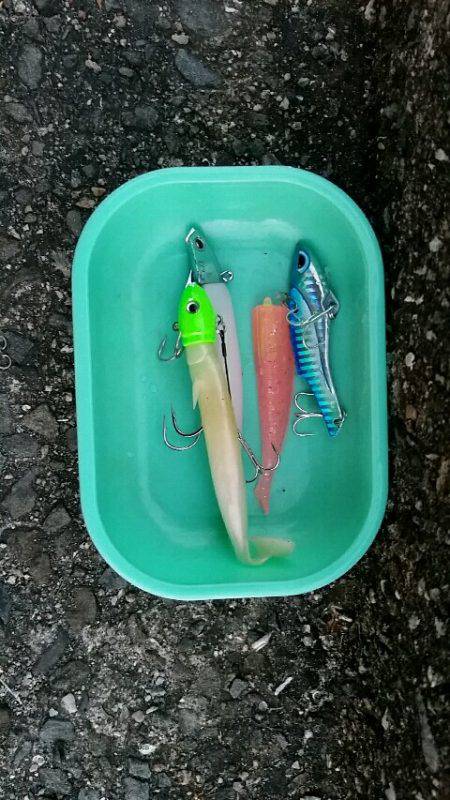 大蔵海岸朝マズメ。タチウオ堅調でした。