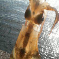 なめてました。