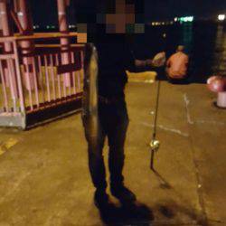 ドラゴンを求めて