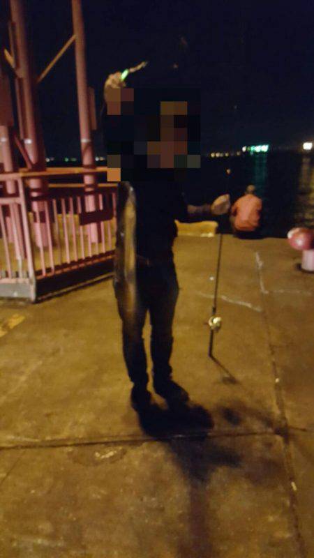 ドラゴンを求めて