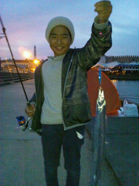 マリーナでタチウオ