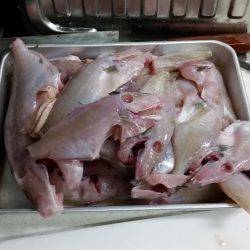 フカセでグレ！