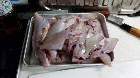 フカセでグレ！