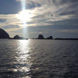 朝マヅメのアオリイカ