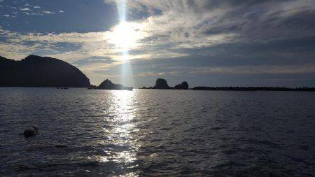 朝マヅメのアオリイカ