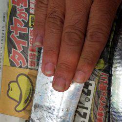 渋いなぁ…f(^_^)