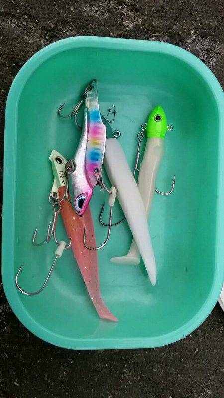 西宮ケーソン　タチウオ不発もサゴシ一発